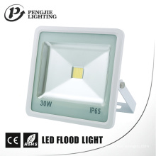 Lampes d&#39;inondation résistantes à la corrosion 30W LED de logement en aluminium de moulage en matrice